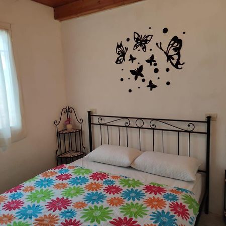 Stellina Villa Lido di Volano Buitenkant foto